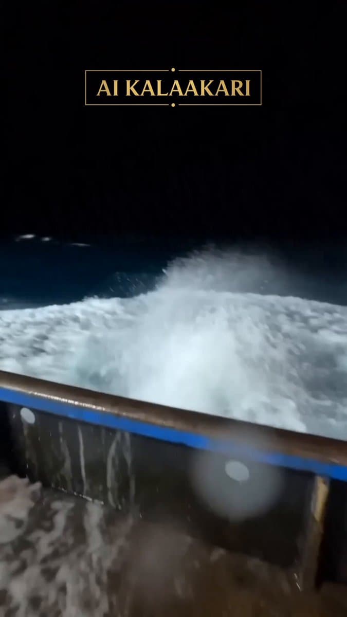 Viral Shark Attack Fishing Boat