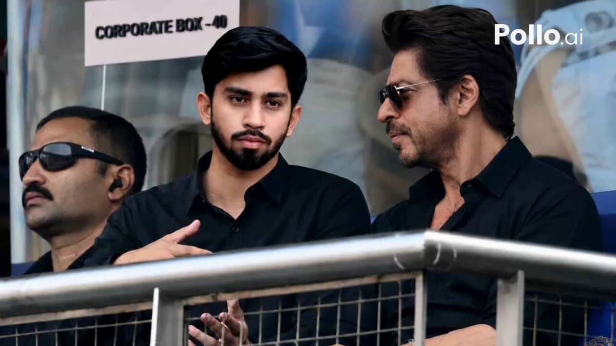 VIP Box Cricket Scene