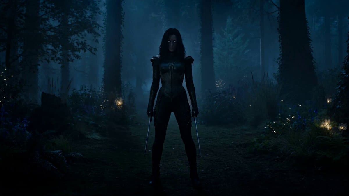 Rogue Elf Assassin Forest Fight