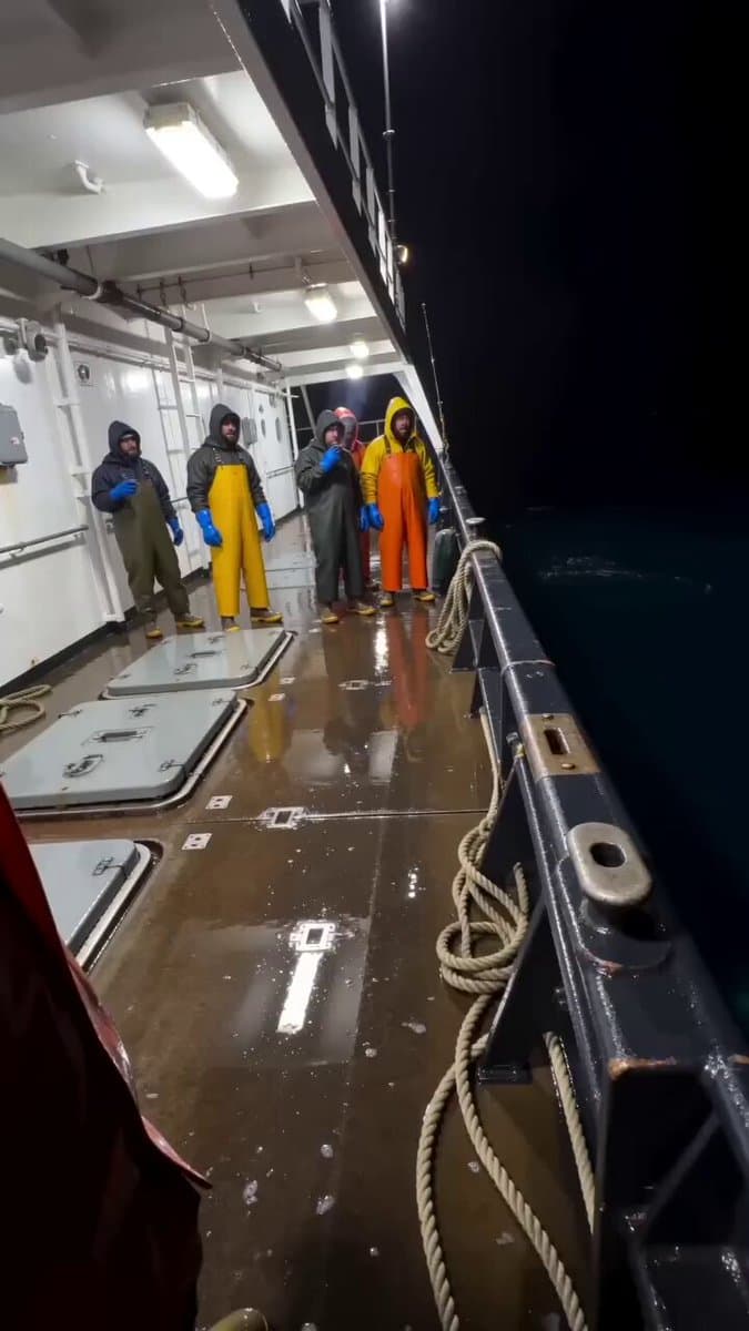 Shark Chasing Tuna on Fishing Boat
