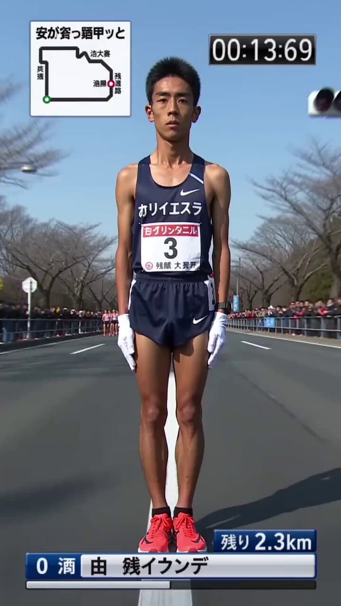 Surreal Hakone Ekiden Gliding Marathon