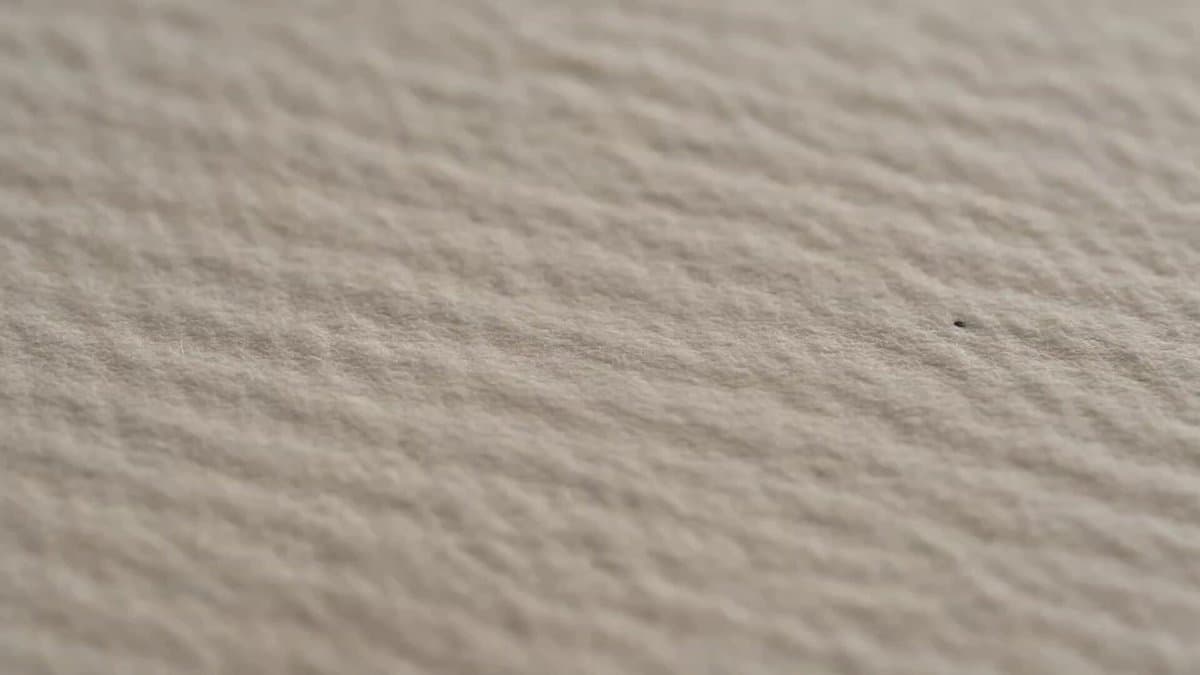 Luxury Stationery Storyboard Animation