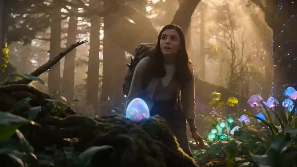 Magical Forest Discovery Storyboard