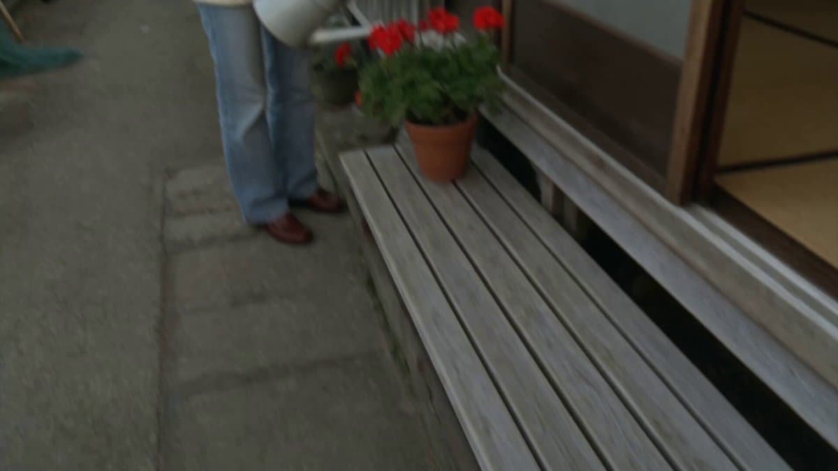Japanese Seaside Town MiniDV Documentary