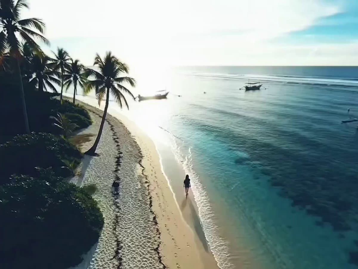 Tropical Beach Travel Vlog