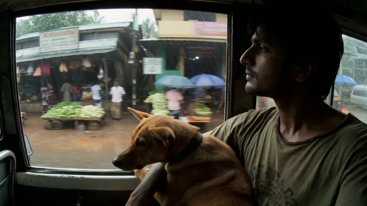 Rural Kerala Monsoon Journey