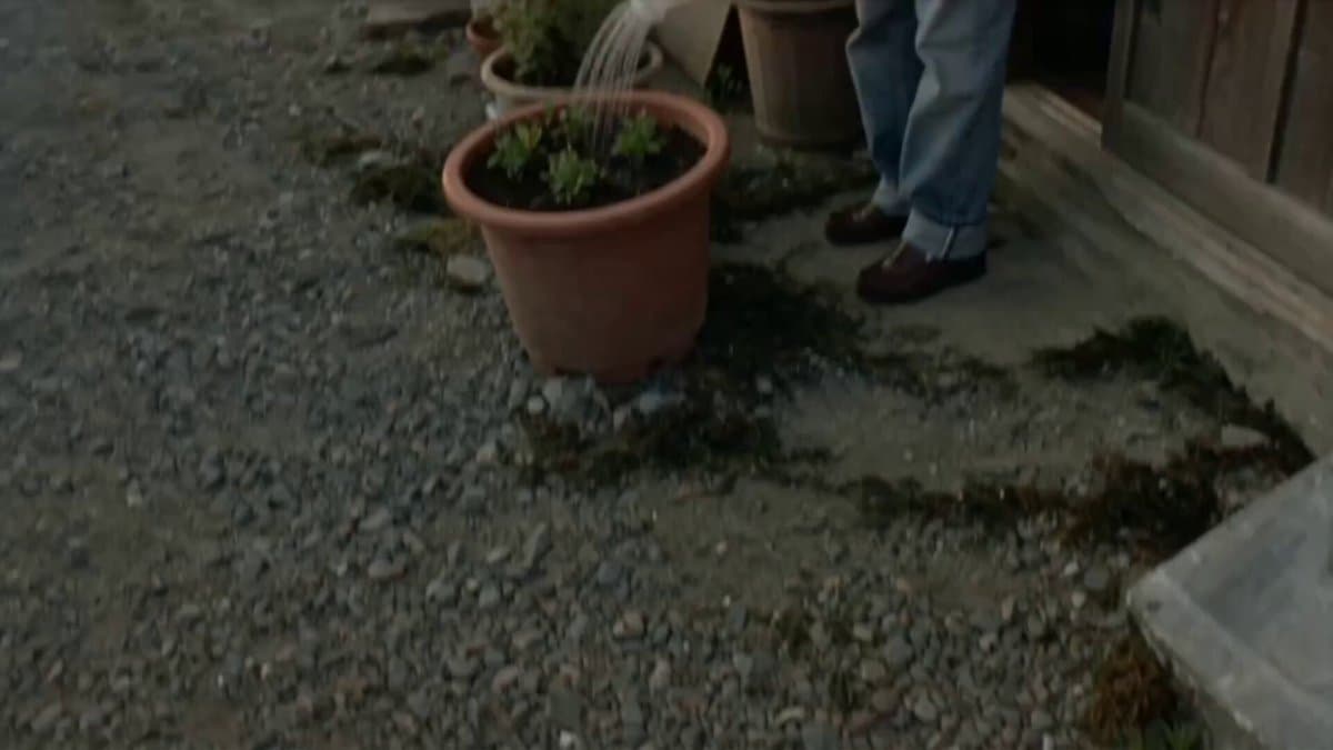 90s Camcorder Japanese Seaside Village