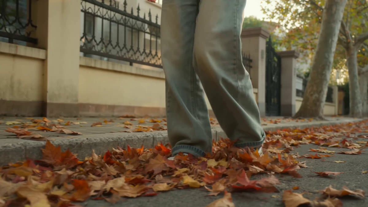 Autumn Leaves Walk Video