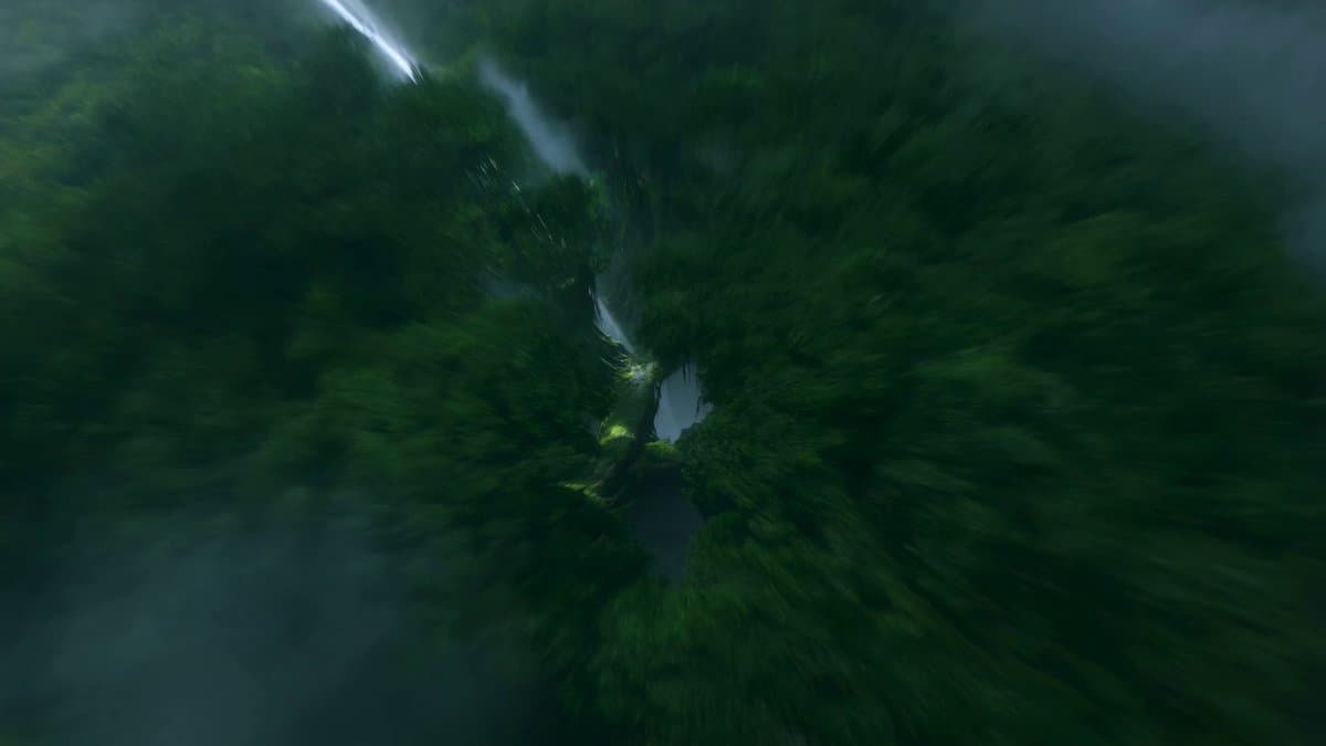 Jungle Canopy Speeder Chase