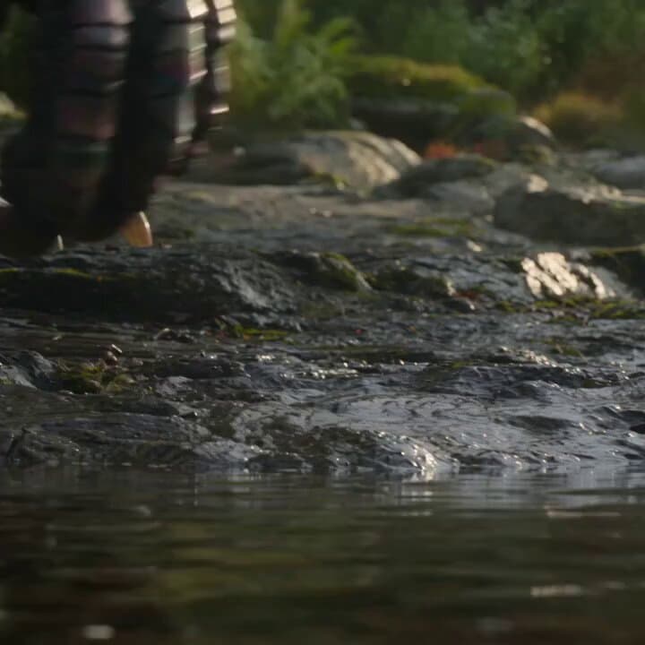 Fantasy Dragon River Reveal