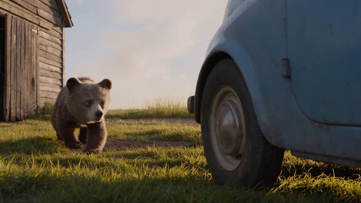 Cinematic Bear Driving Vintage Car