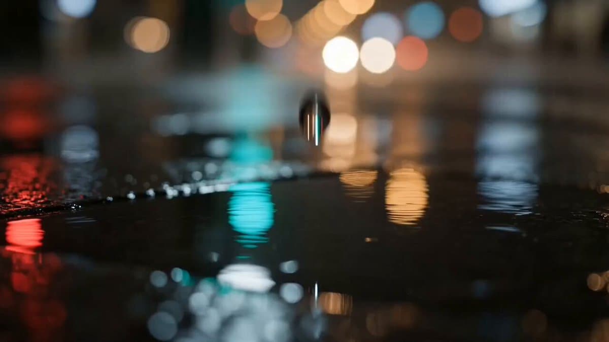 The Umbrella: Romantic City Night