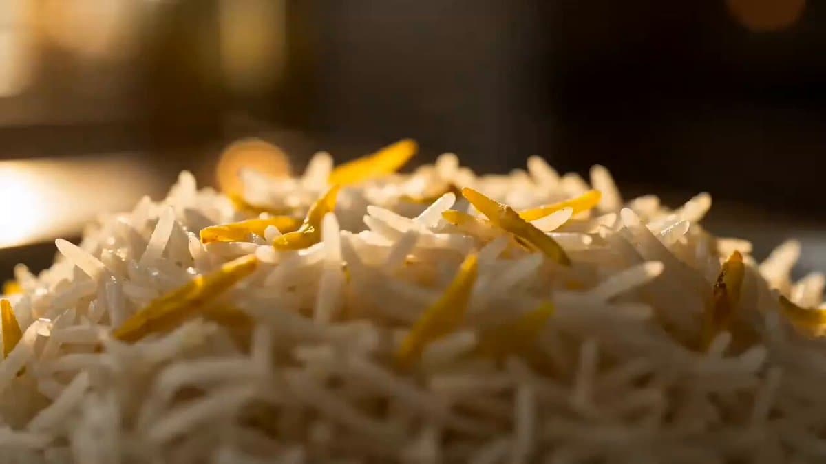 Premium Chicken Biryani Cinematic Commercial